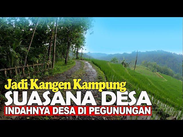 INDAHNYA PEMANDANGAN PERKAMPUNGAN YANG MASIH ASRI DI DESA SAMPANG KEC. SEMPOR KEBUMEN