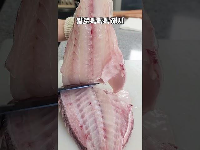 참돔? 너도 뜰 수 있어 #shorts