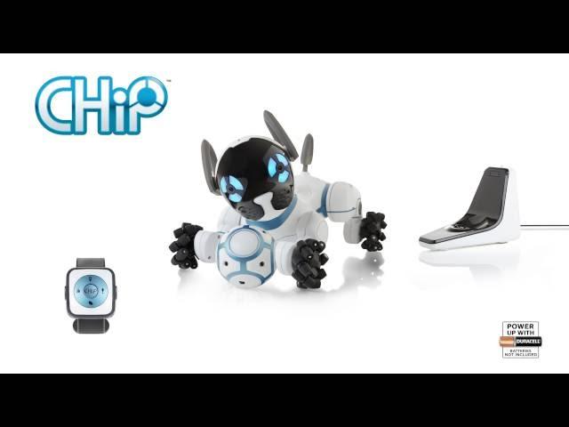 PERRO ROBOT CHIP (versión corta) - ESPAÑOL