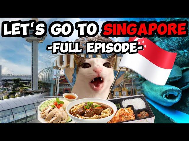 CAT MEMES: FAMILY VACATION COMPILATION TO SINGAPORE + EXTRA SCENES