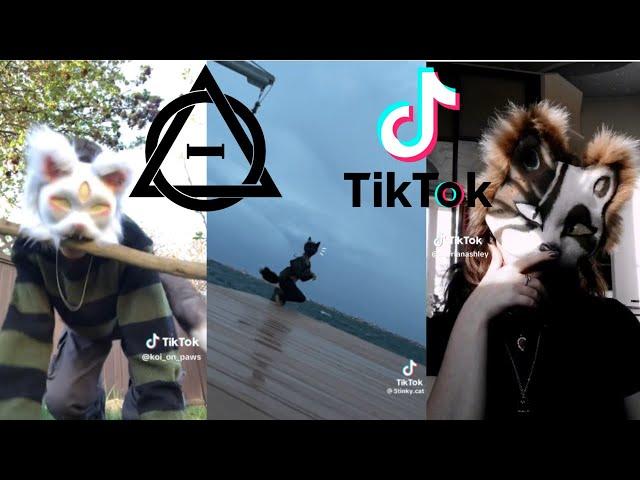 Therian and Quadrobics TikTok Compilation  || Alterhumans of TikTok #1