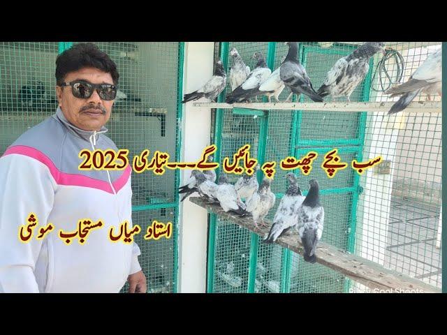 Parwazi Bachay Ready for Season 2025 | Ustad Mian Mustajab Moshi