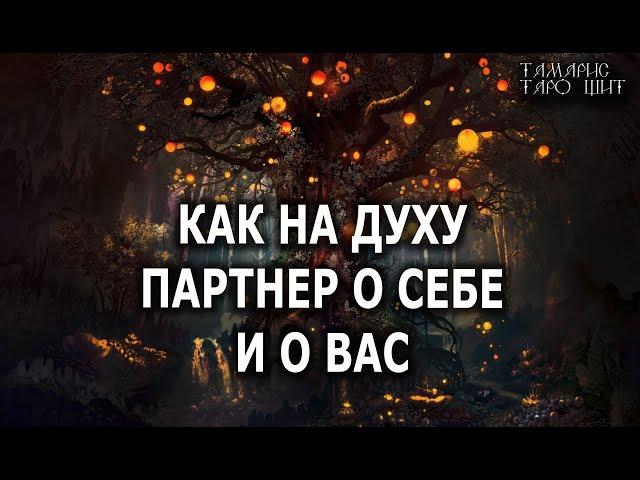 КАК НА ДУХУ. ПАРТНЕР О СЕБЕ И О ВАС  расклад  таро  гадание