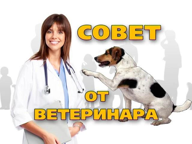 МЫ ВЫБИРАЕМ - НАС ВЫБИРАЮТ. Выпуск 2. 2009 год.
