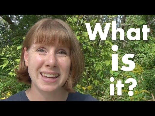 What is Environmental Education?