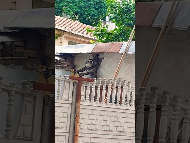 Реалити шоу.Голод2Рубцова  