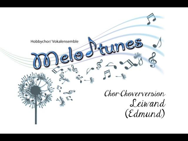 Chor Coverversion Hochzeit (melodtunes) - Leiwand (Edmund)