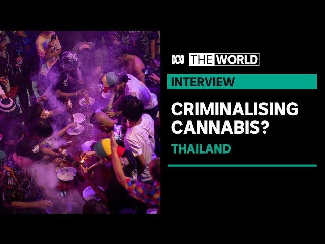 Thailand’s government looking into re-criminalising weed | The World