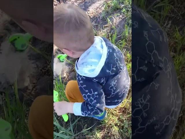 Я САЖАЮ #приколыдослёз #приколы #беларусь #огород #шортс #детииродители