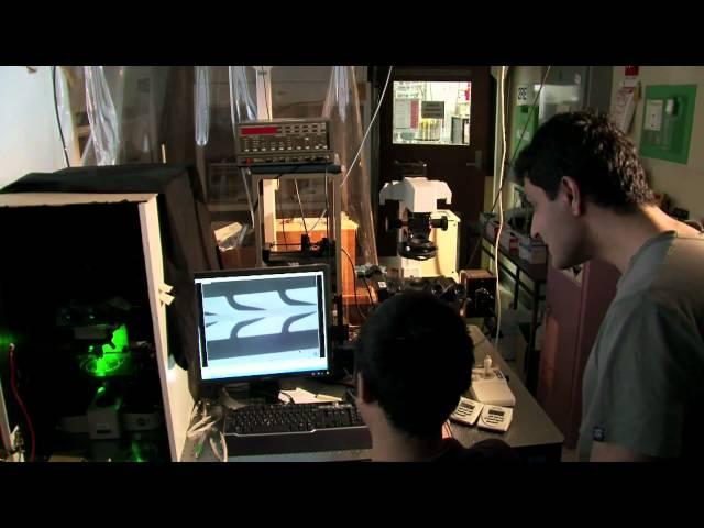 Research into Nanotechnology | RMIT University