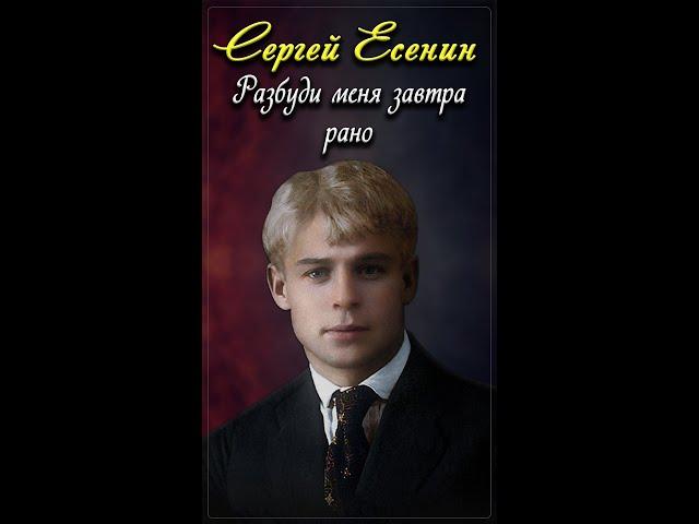 Разбуди меня завтра рано - Сергей Есенин (читает Сергей Безруков) #shorts