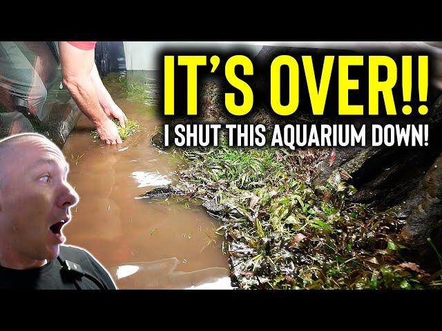 I SHUT DOWN the 700 gallon piranha aquarium -  the king of DIY