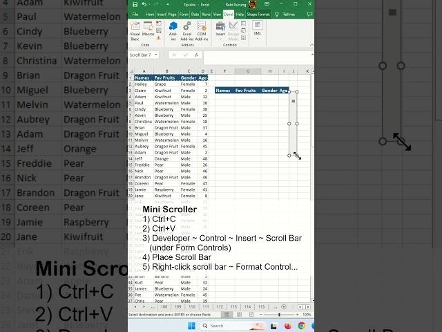 Mini Scroll Bar Widget - Excel Tips and Tricks