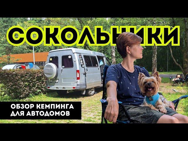 Обзор кемпинга для автодомов Сокольники. Инфраструктура и цены / Woof Travel