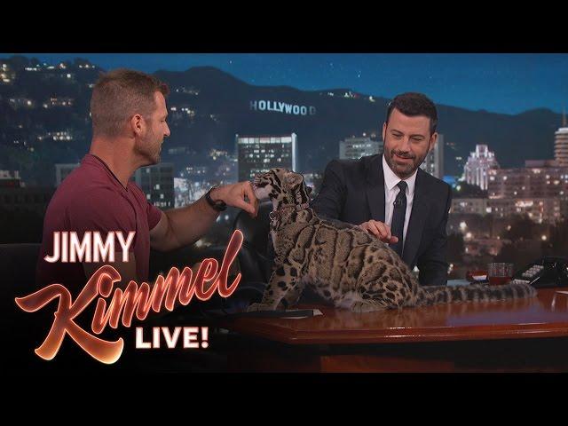 Wild Animals with Dave Salmoni