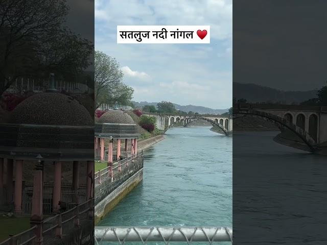 Sutlej / Satluj River #shorts #trending #viral #sutlejriver #sutlej #nangal #nangaldam #river