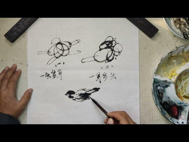 期学国画鸟类动态画法只要掌握这种方法各种动态都不在话下