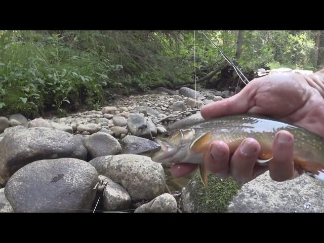 Fishing Colorado,  Vasquez Creek, Small Creek fly fishing