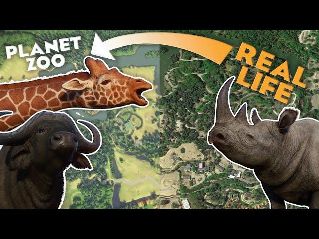  Is this the MOST Detailed RECREATION in Planet Zoo? | Beekse Bergen Recreation Tour