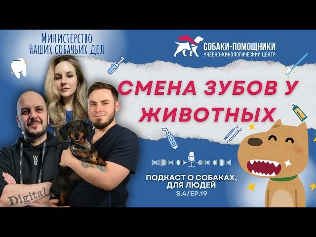 Смена зубов: нормы и патологии