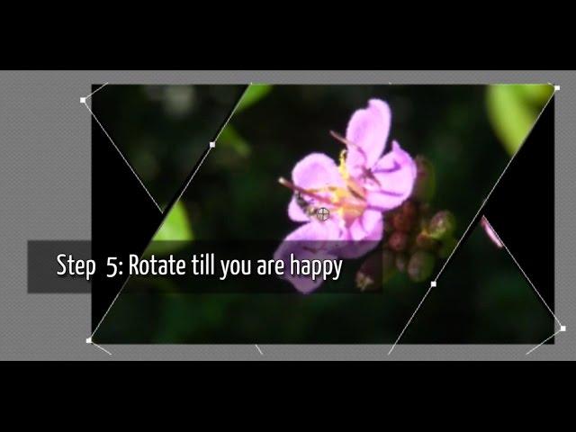 Rotating a Video | Adobe Premiere Elements Training #1 | VIDEOLANE.COM