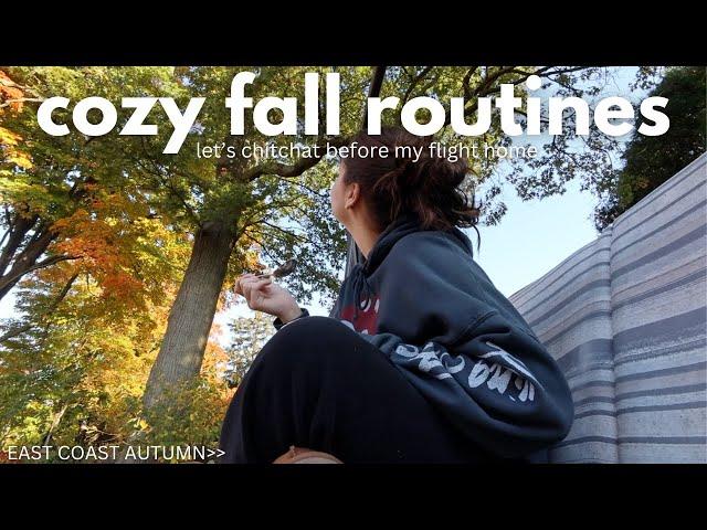 my cozy fall morning and night routine — spend the slow morning w. me before my flight back to LA!