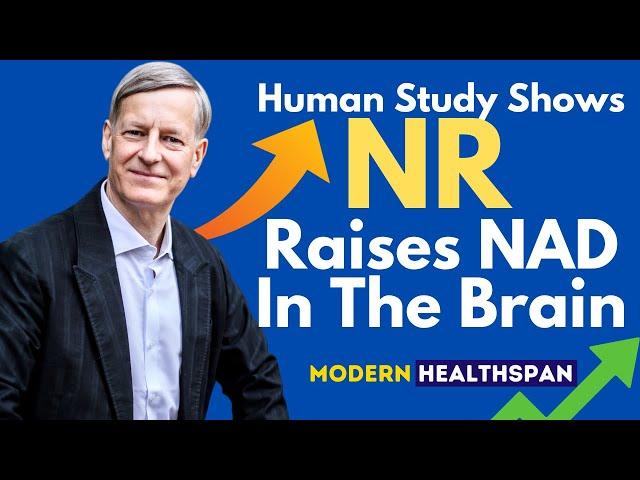 Human Study Shows Nicotinamide Riboside Raises NAD Levels In The Brain