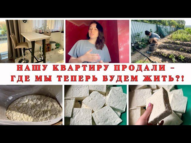 Milana LifeVlog Нас выгоняют из квартиры в Германии?!-1000 евро за отопление - домашняя брынза