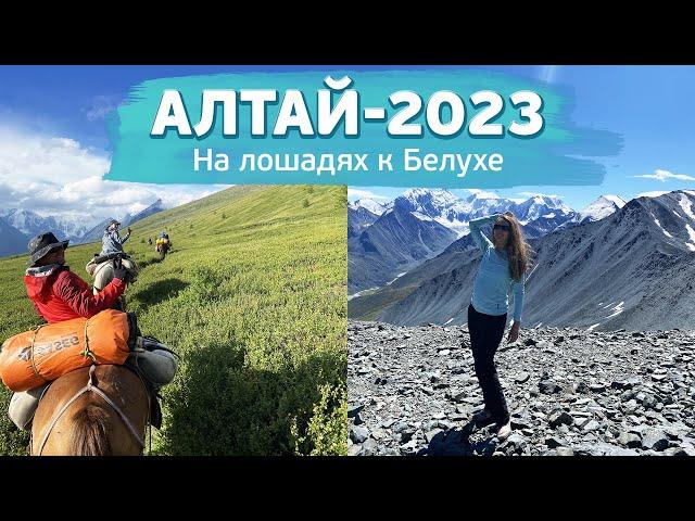 Алтай 2023 / Поход на лошадях к подножию Белухи