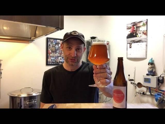 Homebrew Beer Review - TubeDinoz Motueka Fresh Hop Pale Ale