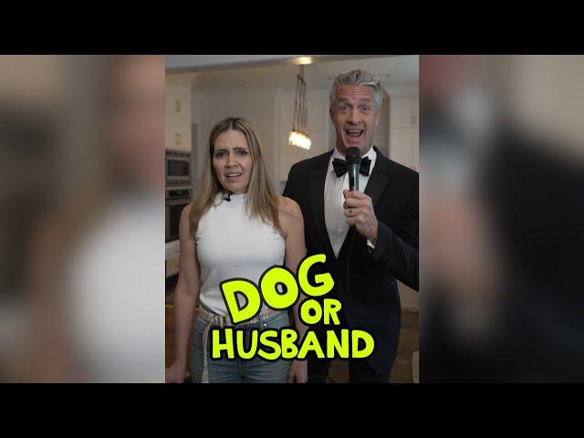 Everyone’s Favorite Game: Dog or Husband 