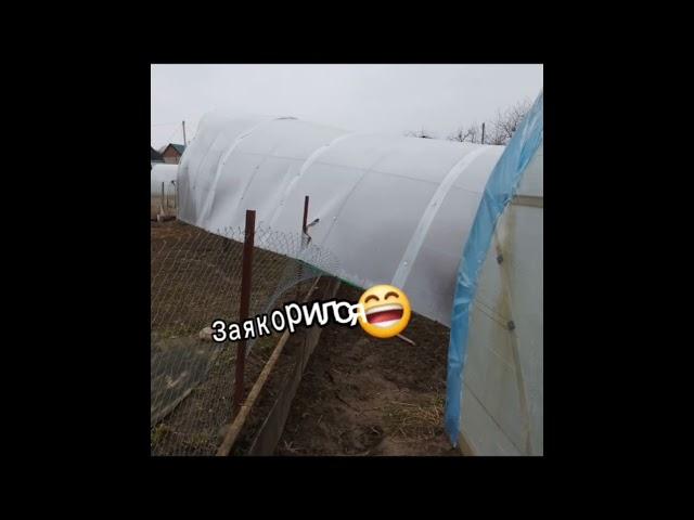 Что будет если не закрепить парник? Смотри ответ в видео!