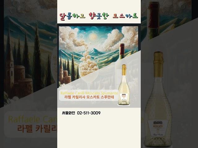 #와인입문 #와인추천 #스파클링와인 #샤도네이와인 #모스카토와인 #초보자와인 #가성비와인 #가성비세트 #wine #seoulwine