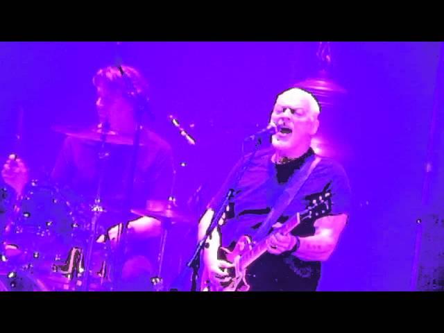 David Gilmour short clip Girl in the Yellow Dress 4-1-16 MVI 5736