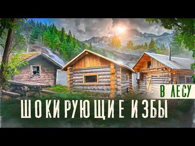НОЧЬ В ИЗБУШКЕ, СПУСТИЛИСЬ С ГОР, ВСТРЕЧА С МЕДВЕДЕМ. 160 км ПЕШКОМ