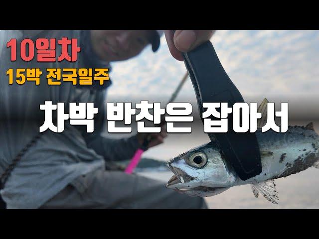 10일차. 차박 반찬, 안주는 직접 잡아서 [15일 전국일주]