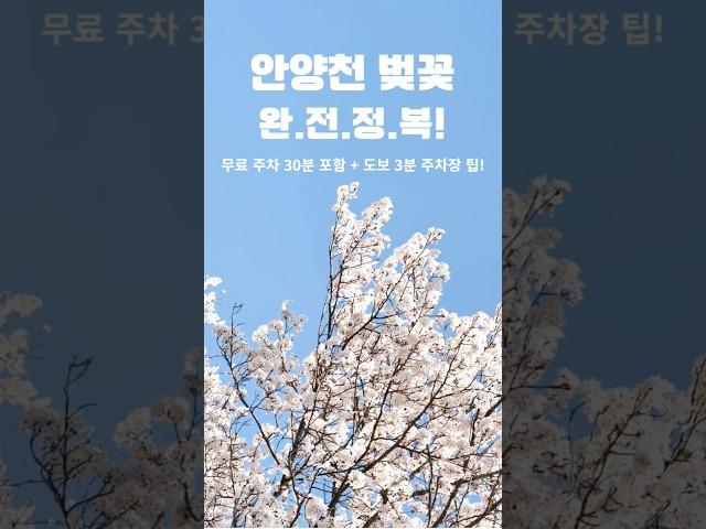 25.4.9현지인 무료주차 쿨팁