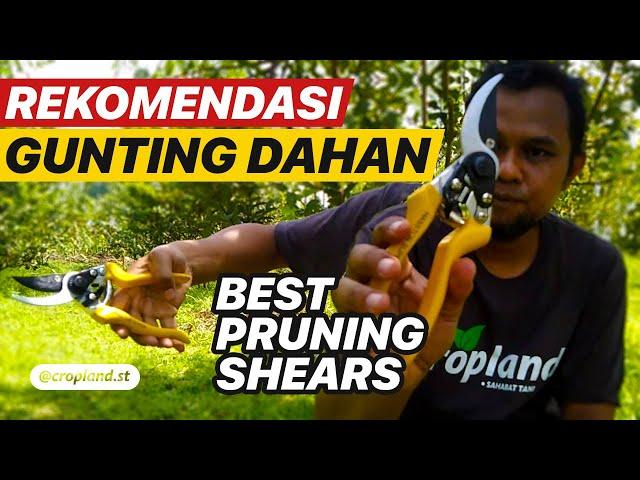 Rekomendasi Gunting Dahan Terbaik, Pruning Shears Jambu Kristal