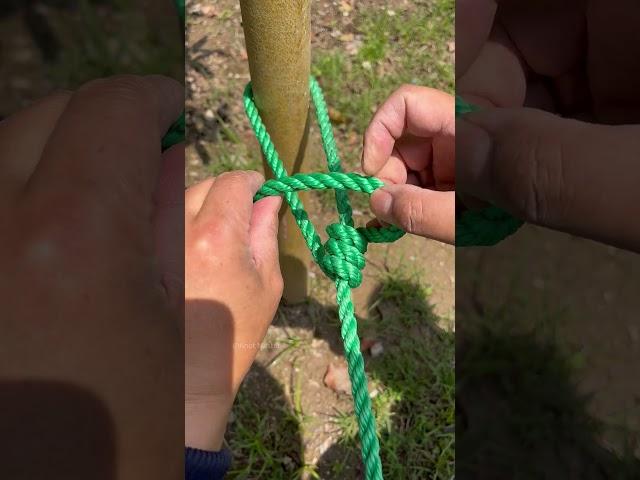 Incredible Slip Knot #camping #survival #bushcraft #outdoors