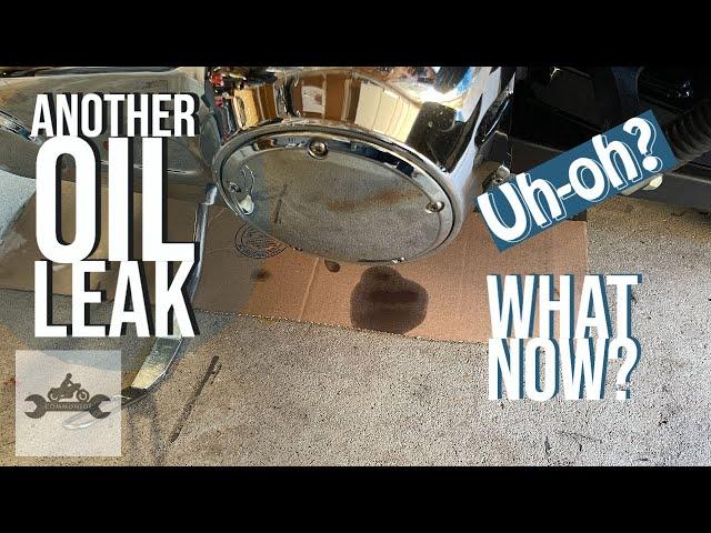 Harley Davidson Oil Leak Part 1