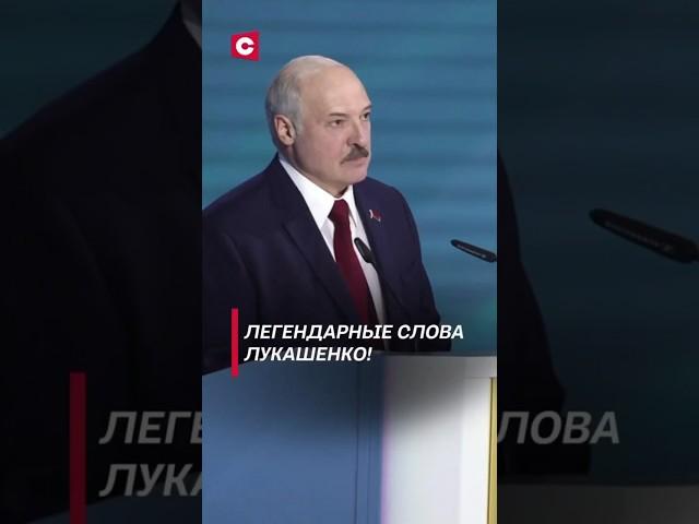 Лукашенко: Любимую не отдают! #лукашенко #политика #новости #беларусь #свои