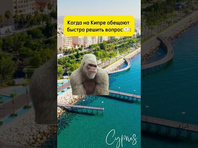 #кипр #лимассол #cyprus