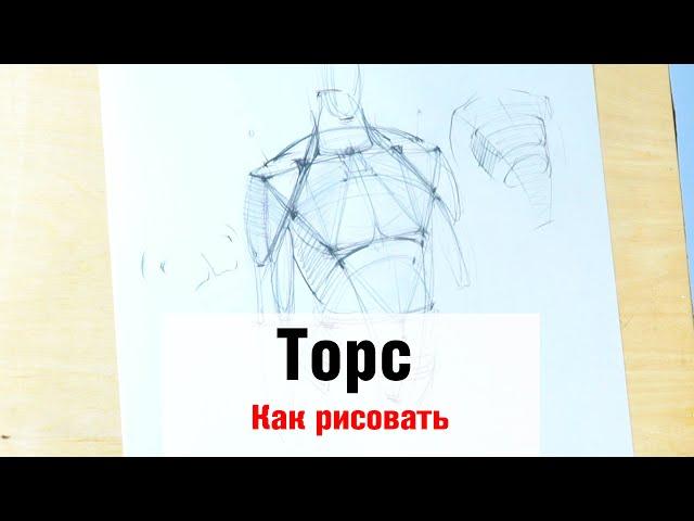 Как рисовать "Торс" - А. Рыжкин