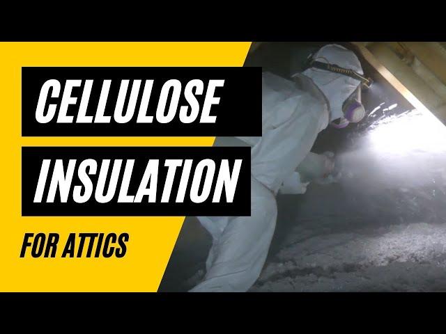 Cellulose Insulation: 5 Reasons To Use It In Your Attic