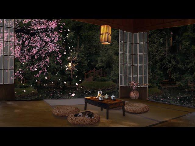 CHERRY BLOSSOM SPRING AMBIENCE : A Raining Evening in a Zen Garden with Fluttering Petals 