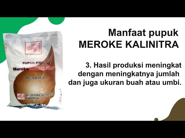 Penggunaan Pupuk Meroke Kalinitra atau KNO3 Pada Tanaman, Bisa Untuk Pupuk AB Mix Hidroponik juga