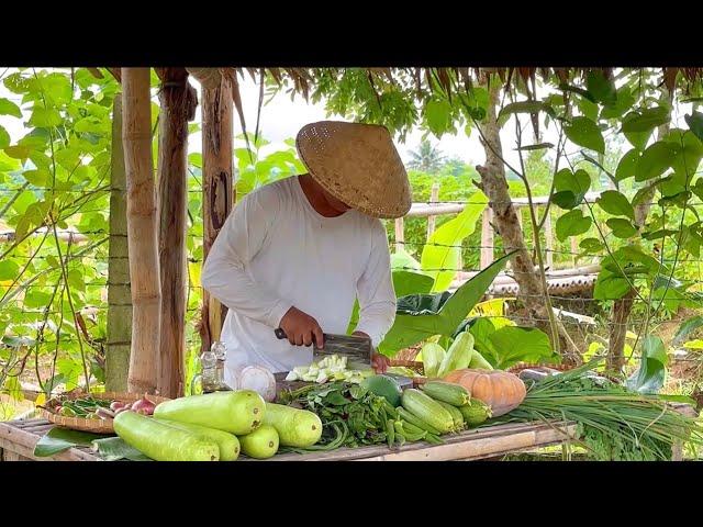 Harvesting variety of vegetables from my garden I Joseph The Explorer