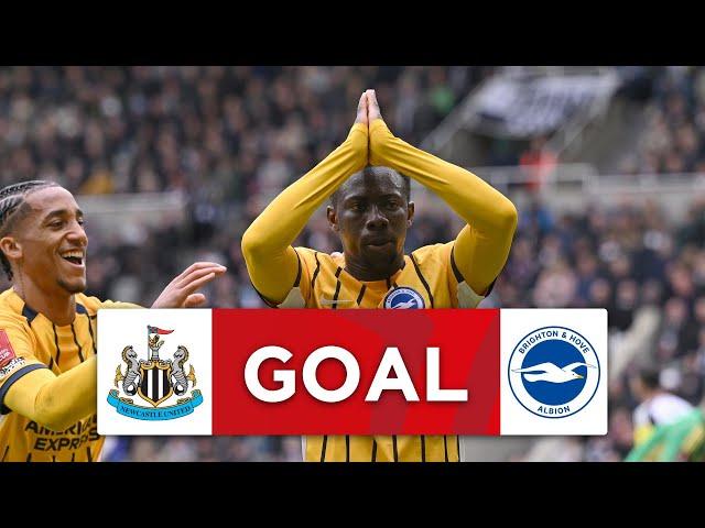 GOAL | Yankuba Minteh | Newcastle United 1-1 Brighton | Fifth Round | Emirates FA Cup 2024-25