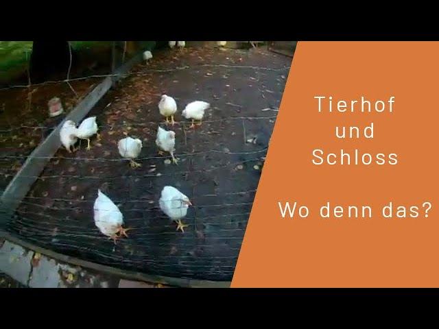 Tierhof und Schloss - Wo denn das?