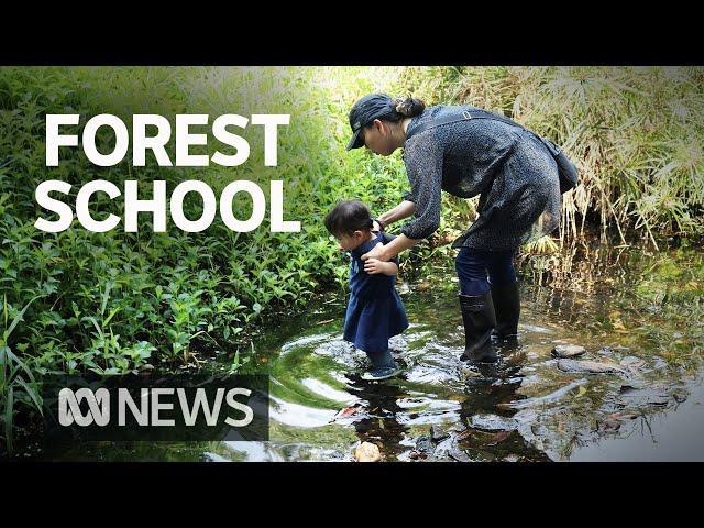 Forest schools: A growing alternative for parents wanting less screen time for kids | ABC News